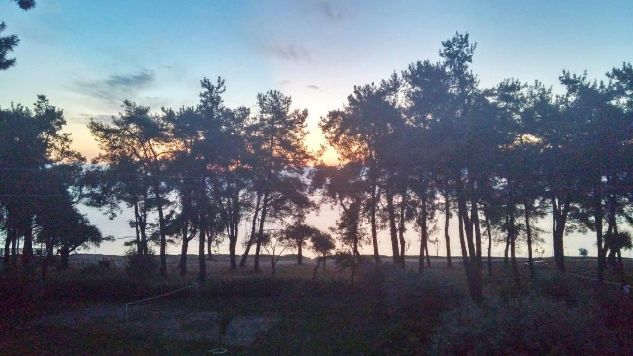 Nisteri Seaside Lägenhet Thassos Exteriör bild