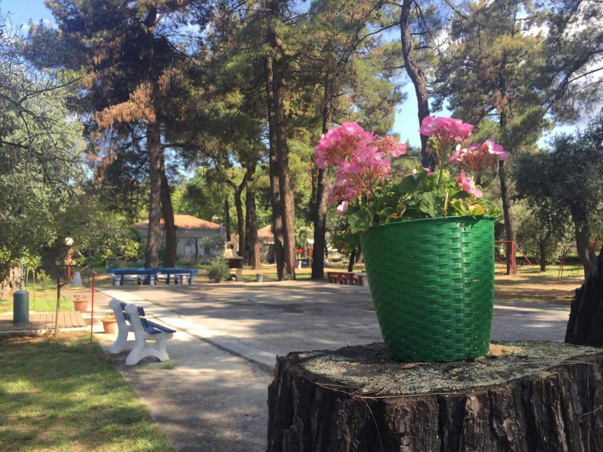 Nisteri Seaside Lägenhet Thassos Exteriör bild