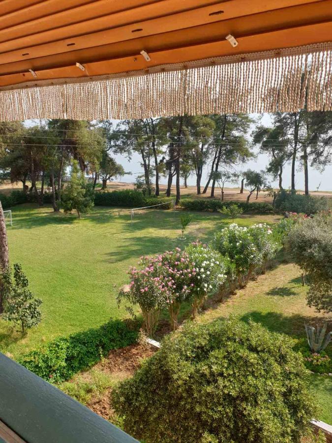Nisteri Seaside Lägenhet Thassos Exteriör bild