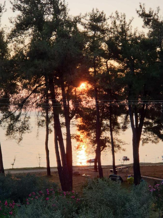 Nisteri Seaside Lägenhet Thassos Exteriör bild